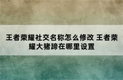 王者荣耀社交名称怎么修改 王者荣耀大猪蹄在哪里设置